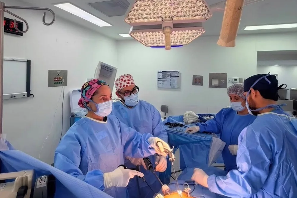 Hernias inguinales